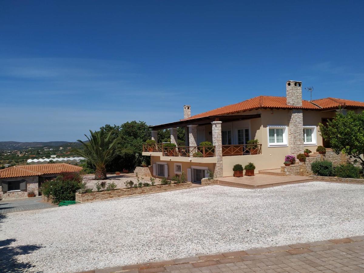 Villa Vena Palaia Fokaia Luaran gambar