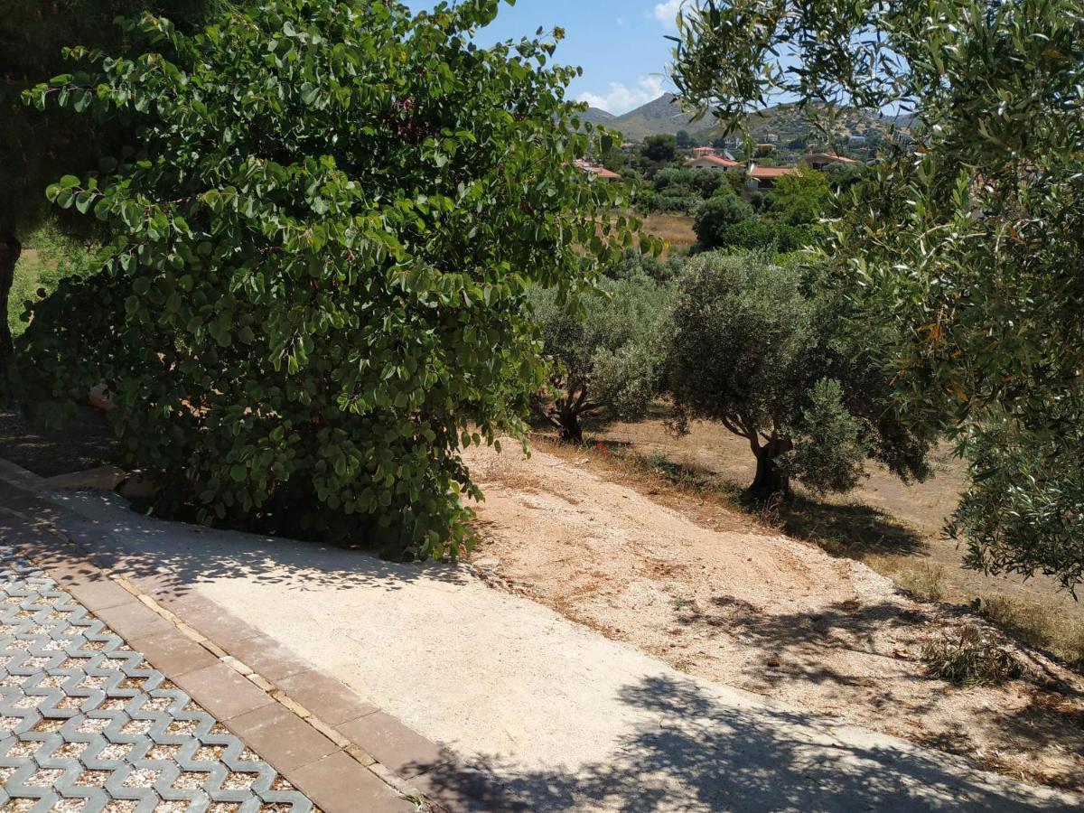 Villa Vena Palaia Fokaia Luaran gambar