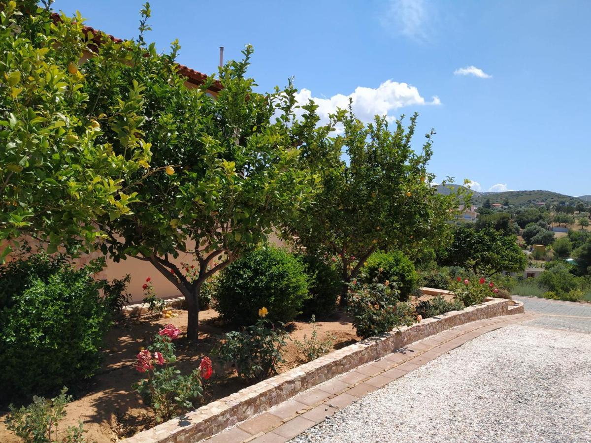 Villa Vena Palaia Fokaia Luaran gambar