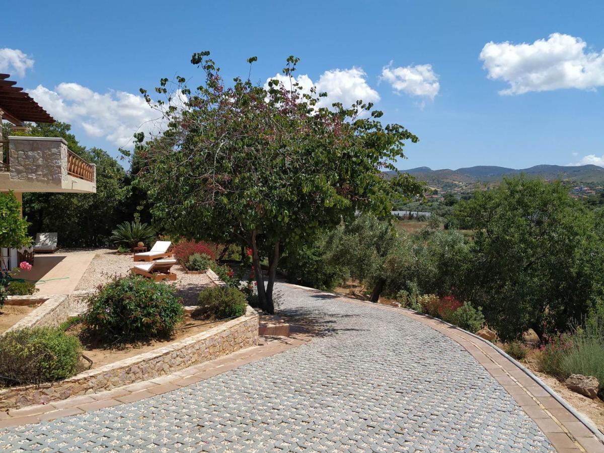 Villa Vena Palaia Fokaia Luaran gambar