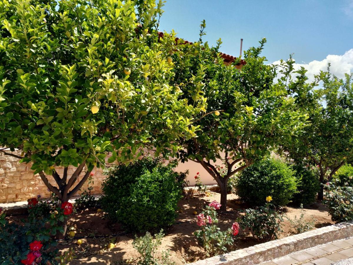 Villa Vena Palaia Fokaia Luaran gambar