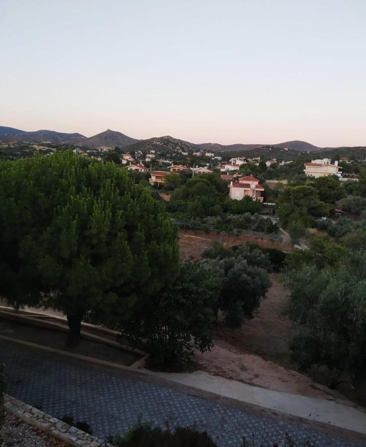 Villa Vena Palaia Fokaia Luaran gambar
