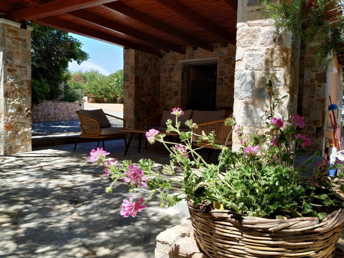Villa Vena Palaia Fokaia Luaran gambar